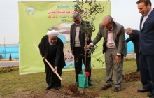 Planting a sapling on Arbour Day