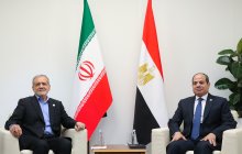 دیدار روسای جمهور ایران و مصر