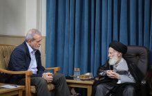 دیدار با آیت الله العظمی شبیری زنجانی