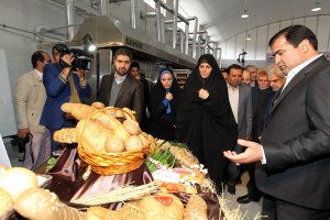 مولاوردی بزرگترین مجتمع صنعتی نان جنوب کشور را افتتاح کرد