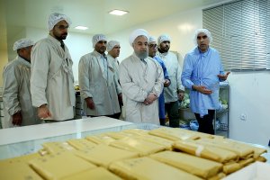 دولت تمام تلاش خود را برای اجرای سیاست‌های اقتصاد مقاومتی بکار می‌گیرد