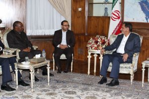 دیدار با وزیر مشاور در امور زیربنایی نیجریه