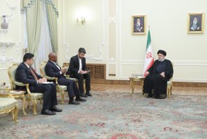 دیدار دبیرکل سازمان دی 8 با رئیس جمهور