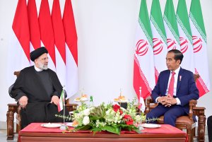 دیدار رئیس جمهور اندونزی با دکتر رئیسی