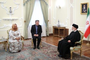 دیدار وزیر همکاری‌های بین‌المللی آفریقای جنوبی با رئیس جمهور