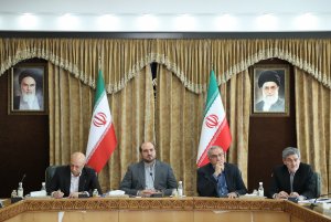 نشست اساتید و نخبگان پزشکی استان فارس با معاون اجرایی