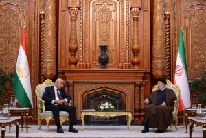 دیدار رئیس مجلس نمایندگان تاجیکستان با رئیس جمهور
