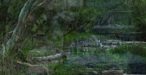 بژی کردستان/ روایتی از دومین سفر استانی رئیس‌جمهور به استان کردستان