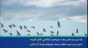 | خلیج‌ گرگان نفس کشید/ تهدیدات زیست‌محیطی از بیخ گوش سواحل شمالی گذشت