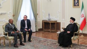 أشاد باجراء تاریخی و واعٍ لافریقیا الجنوبیة فی تقدیم الشکوی الی محکمة العدل الدولیة ضد جرائم الکیان الصهیونی