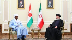 دیدار نخست وزیر نیجر با رئیس جمهور