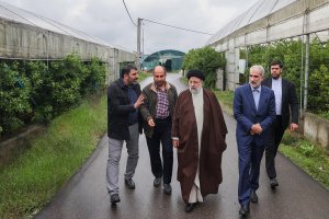 بهره‌برداری از 350 گلخانه روستایی در استان مازندران