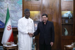 Speaker of Mali's National Assembly meets with acting president