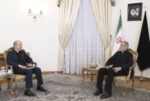 دیدار وزیر نیرو با رئیس جمهور منتخب
