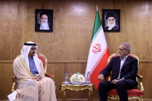 UAE FM meets with the President