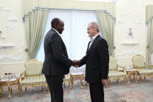 دیدار معاون رییس جمهور زیمباوه با رییس جمهور