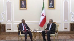 دیدار وزیر خارجه اریتره با رییس جمهور