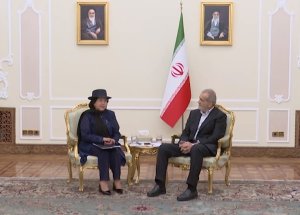 دیدار وزیر خارجه بولیوی با رییس جمهور