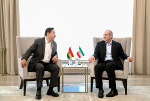 Pezeshkian, Bolivian president discuss bilateral ties, international issues
