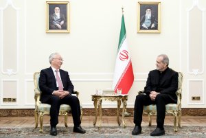 دیدار معاون نخست وزیر چین با رئیس جمهور