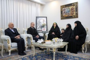 Iran president meets with families of several martyrs