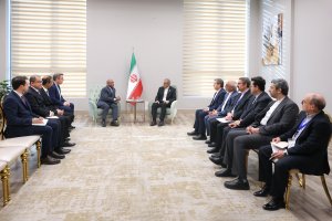 ایجاد صندوق سرمایه‌گذاری مشترک، گامی موثر برای تحقق اهداف سازمان همکاری D8 خواهد بود
