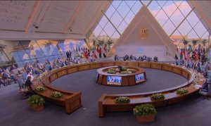 توقف جنایات رژیم صهیونیستی باید مهمترین اولویت کشورهای منطقه و اعضای دی هشت باشد
