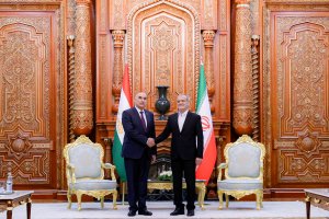 دیدار رئیس مجلس نمایندگان تاجیکستان با رئیس جمهور