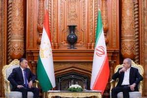 دیدار نخست وزیر تاجیکستان با رئیس جمهور