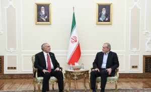 تقویت وحدت میان کشورهای اسلامی از اقتضائات مهم شرایط کنونی جهان است

