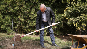President urges Iranians to plant saplings for greener future
