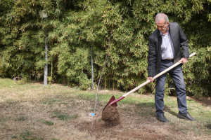 مراسم روز درختکاری