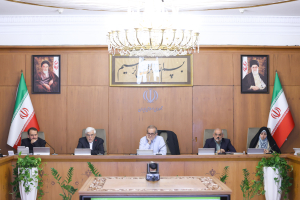 گزارش وزیر کشور از عملکرد کارگروه مدیریت بهینه مصرف انرژی در جهت رفع ناترازی‌ها در این حوزه