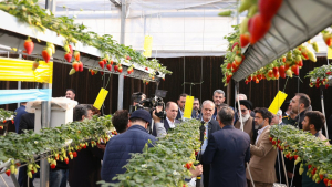 Pezeshkian visits automated greenhouse in Varamin