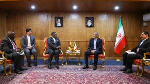 Iran-Zimbabwe friendly ties facilitate cooperation at international level: Pezeshkian