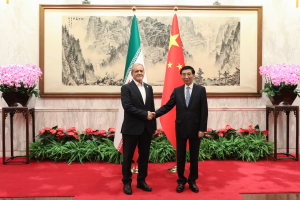 دیدار با عضو کمیته دائمی دفتر سیاسی کنگره ملی خلق چین