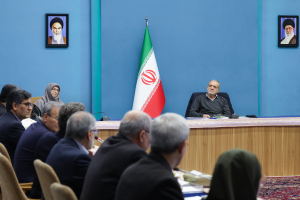 حفاظت مسئولانه از محیط‌زیست با واگذاری مسئولیت به ذی‌نفعان محقق می‌شود
