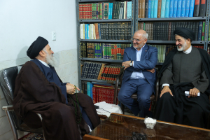 دیدار رئیس دفتر رئیس جمهور با آیت الله مددی