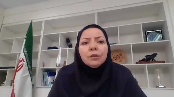 قابل توجه تولیدکنندگان ایرانی؛ ظرفیت‌های صادراتی ایران به قاره آفریقا