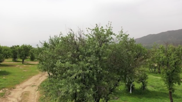 ذخیره آب دریاچه زریوار در بالاترین میزان خود/ مرتفع شدن چالش‌های زیست‌محیطی دریاچه زریوار 

