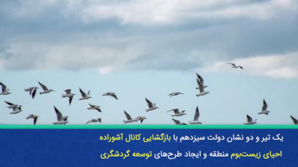 | خلیج‌ گرگان نفس کشید/ تهدیدات زیست‌محیطی از بیخ گوش سواحل شمالی گذشت