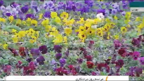 توسعه یافتگی بدون تخریب محیط زیست/ همه قشرها و ارگان‌ها باید به درختکاری توجه کنندز