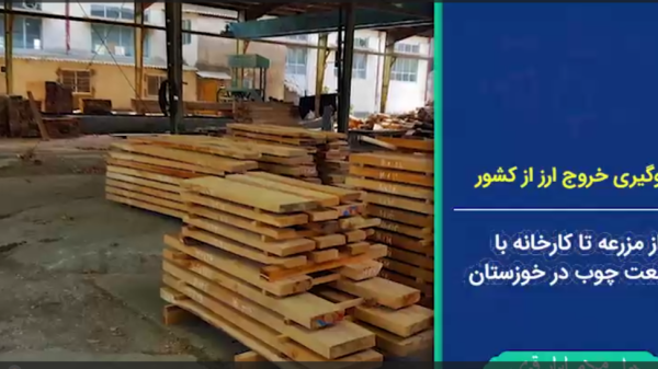 فتوکامنت | جلوگیری خروج ارز از کشور/ از مزرعه تا کارخانه با صنعت چوب در خوزستان