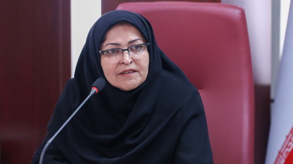 Farzaneh Ansari appointed as head of Iran National Standards Organization