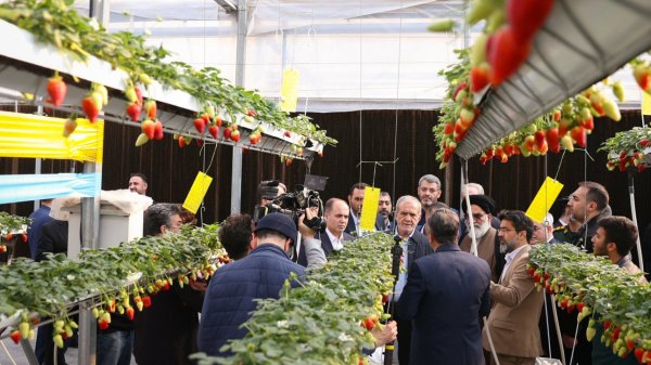 Pezeshkian visits automated greenhouse in Varamin