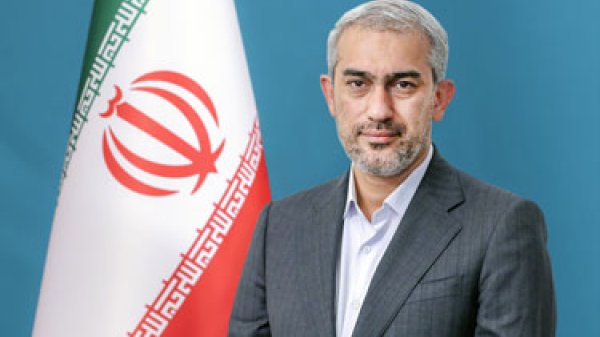 دکتر سید علی مدنی‌زاده