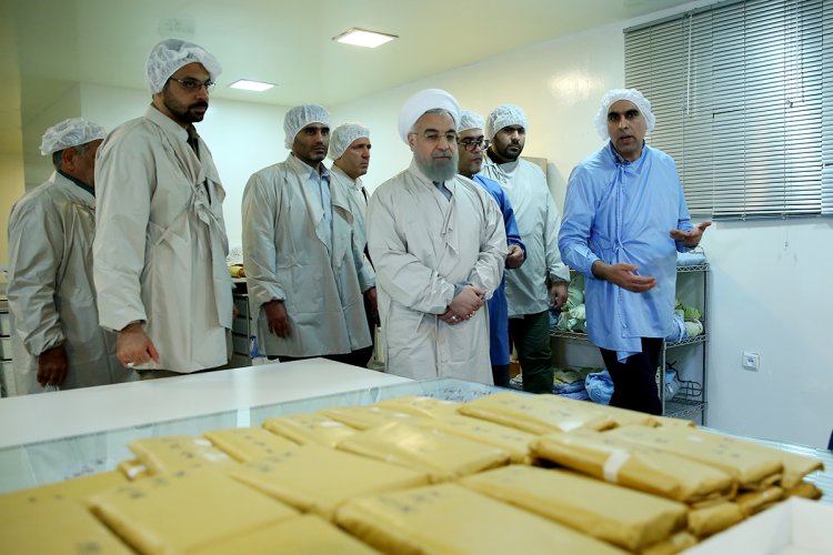 دولت تمام تلاش خود را برای اجرای سیاست‌های اقتصاد مقاومتی بکار می‌گیرد