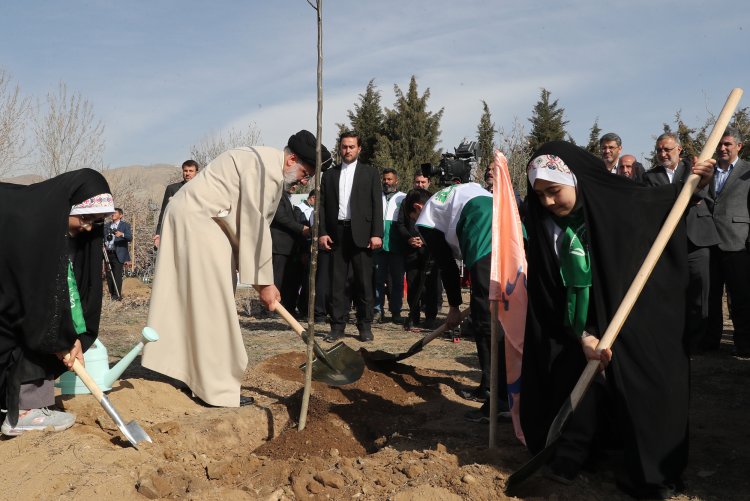 غرس نهال گردو توسط دکتر رئیسی در باغ گیاه‌شناسی
