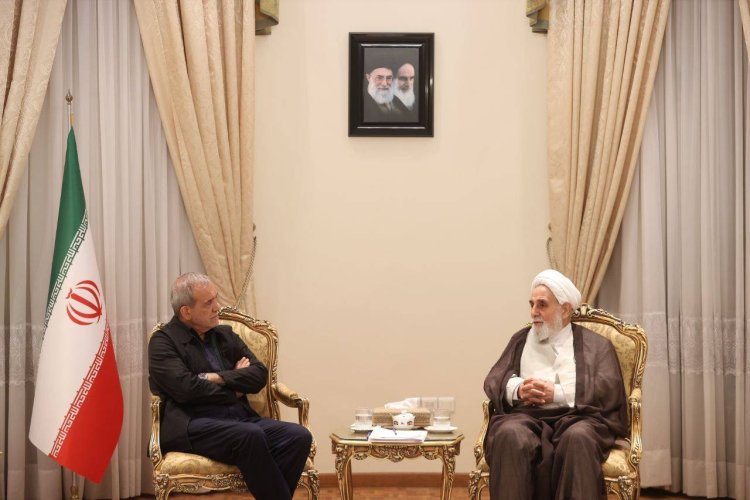 دیدار حجت‌الاسلام ناطق‌نوری با رئیس جمهور منتخب/ قدردانی دکتر پزشکیان از ارائه نظرات و دیدگاه‌های رئیس مجلس اسبق