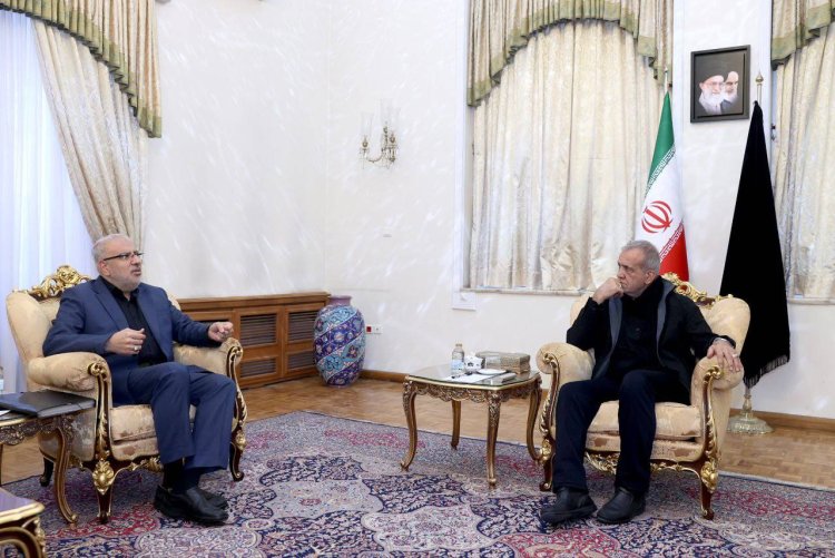 دیدار وزیر نفت با دکتر پزشکیان
